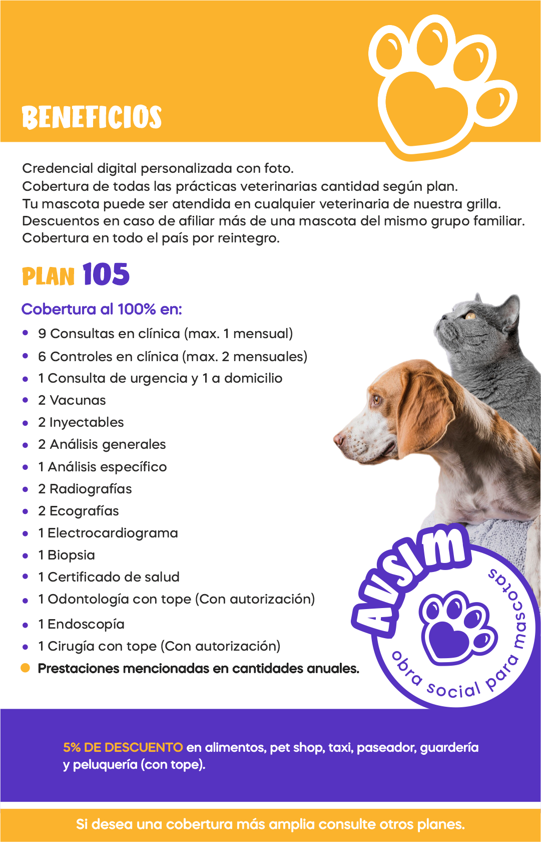 Imagen del PLAN 105
