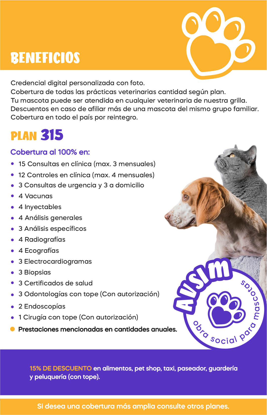 Imagen del PLAN 315