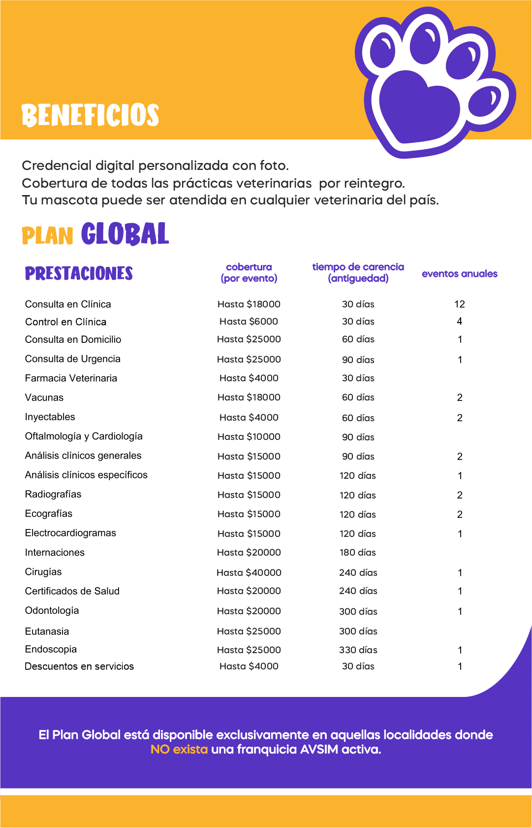Imagen del PLAN GLOBAL