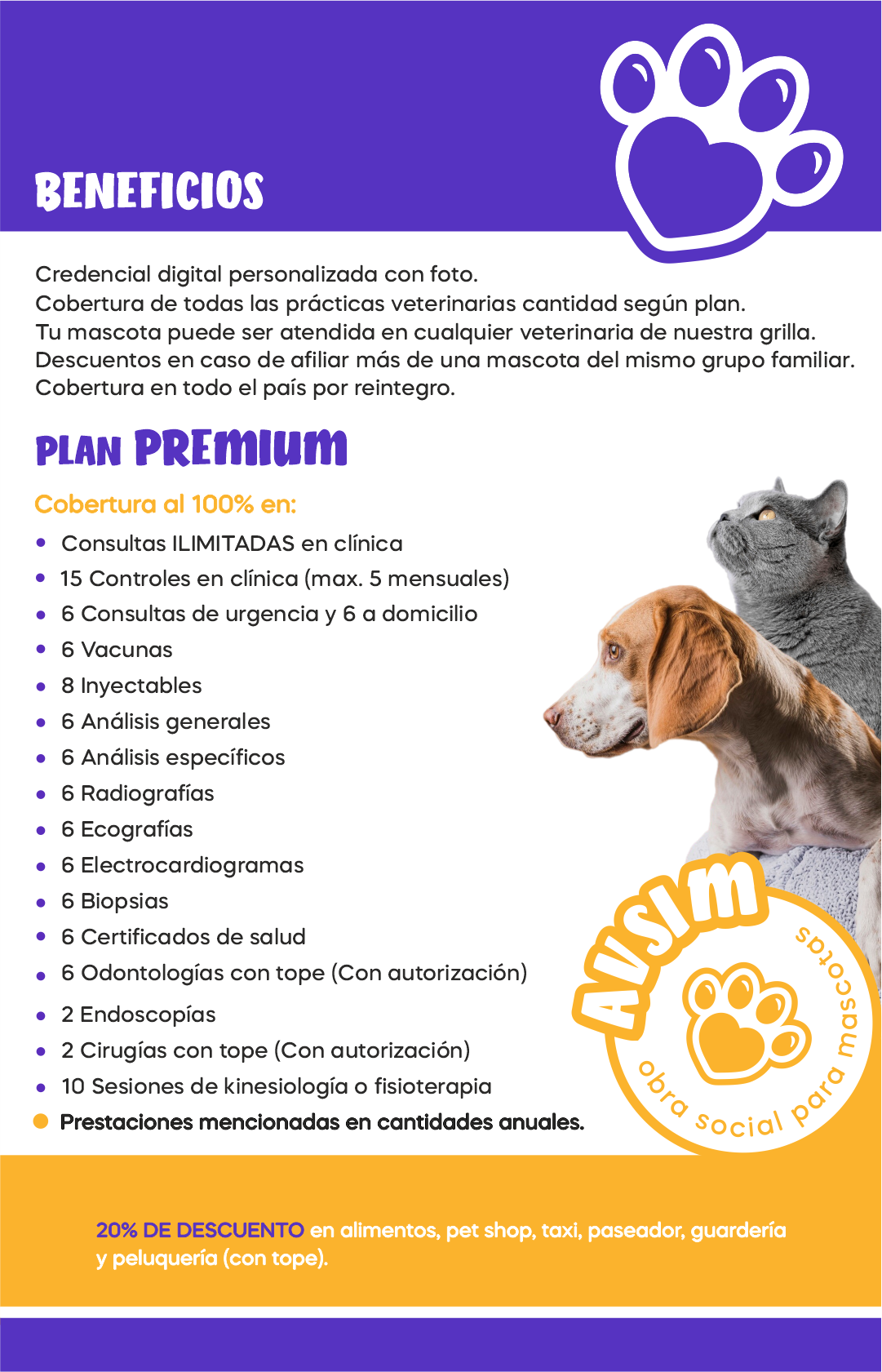 Imagen del PLAN PREMIUM